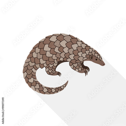 Pangolin illustration with curled body and scales.