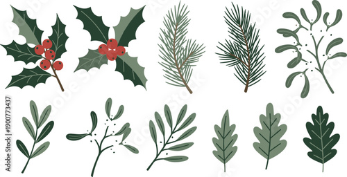 Vector illustration set of winter botanical leaves including holly with red berries, pine branches, mistletoe, and oak leaves isolated on white background.