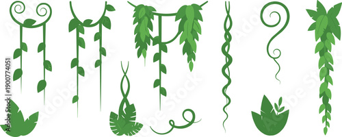 Set of hanging tropical vines and leaves, green plant decorative elements for jungle or garden themed designs, flat vector illustration