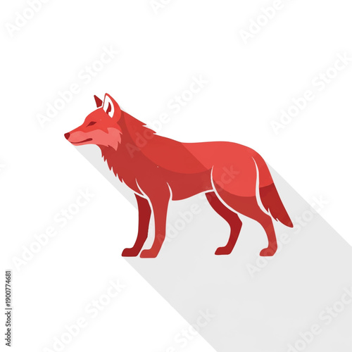 Red Wolf Illustration Standing Profile View.