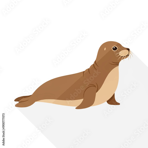 Seal Animal Mammal Marine Wildlife Cartoon.