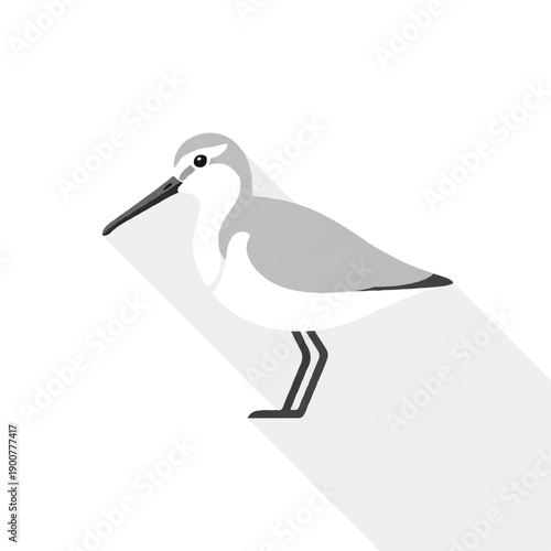 Simple Illustration of a Shorebird Standing.