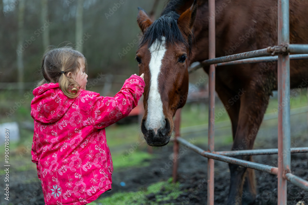 Fototapeta premium Young child interacting calmly with a brown horse in a countryside setting.