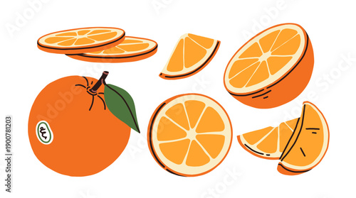Orange fruit set, whole and parts. Round circle pieces, slices, cut wedges. Tropical citrus food in segments, pulp, peel. Healthy natural vitamin. Flat vector illustration isolated on white background