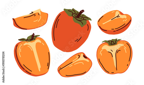 Persimmon, kaki fruit. Whole and cut parts, half and slices. Cross-section, wedge pieces. Sweet tropical snack. Persimon, natural vitamin food. Flat vector illustration isolated on white background