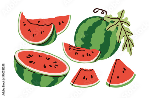 Watermelon fruit set. Whole water melon and pieces, cut half, wedge slices with green skin, red flesh, juicy pulp. Natural sweet summer food. Flat vector illustration isolated on white background