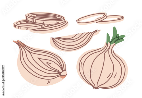 Onion, whole bulb and cut pieces, set. Half, ring slices, wedge part. Sweet pungent vegetable. Natural food, organic vitamin condiment, seasoning. Flat vector illustration isolated on white background