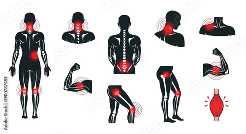 Human body anatomy showing areas of pain and inflammation