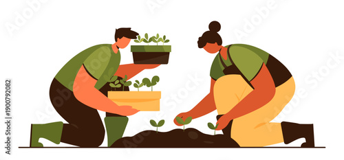 Gardeners planting seedlings