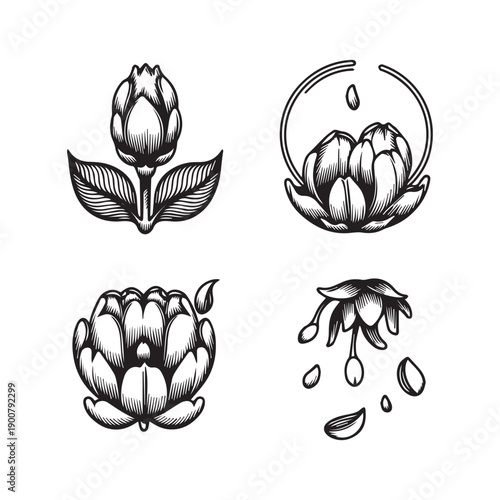  Hand Drawn Engraving Style Floral Vector Illustrations Of Botanical Flower Buds.