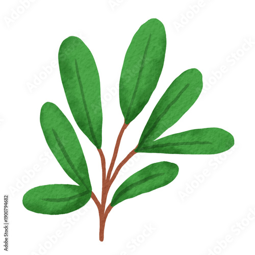Hand drawn leaf branch illustration calm nature art