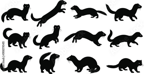 Black Ferret and Weasel Silhouette Vector Set Isolated on White Background Featuring Playful Polecat Stoat and Mink for Wildlife Design,