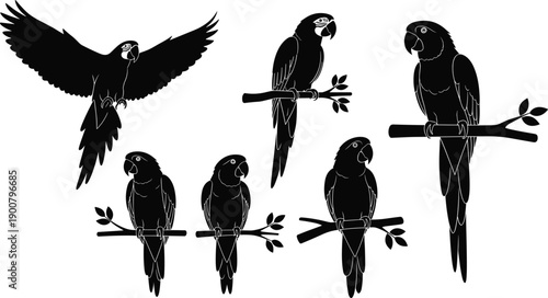 Black Macaw Parrot Silhouette Set, Tropical Bird Vector Illustrations, Exotic Flying and Perched Wildlife Graphics, Isolated Jungle Animal Clipart Collection.