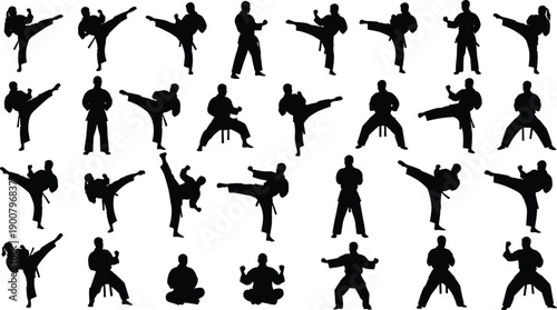 Black Martial Arts Silhouette Vector Set, Karate and Taekwondo Fighter Poses, Isolated Kickboxing Action Figures, Professional Combat Sports Training Graphics Collection,