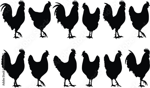 Black rooster and hen silhouette vector set, farm bird poultry collection, chicken farm animals, country life design elements, isolated icons.
