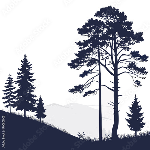 Silhouettes of tall pine trees standing on a hillside against a mountain backdrop