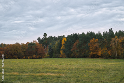 Meadow in front of a colorful mixed forest in autumn under a cloudy sky.