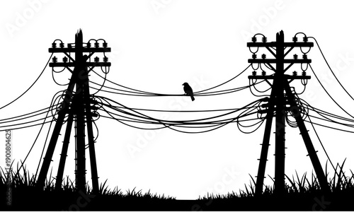  Detailed electric utility poles with multiple power lines and bird silhouette, vintage telegraph infrastructure scene perfect for industrial and communication network designs