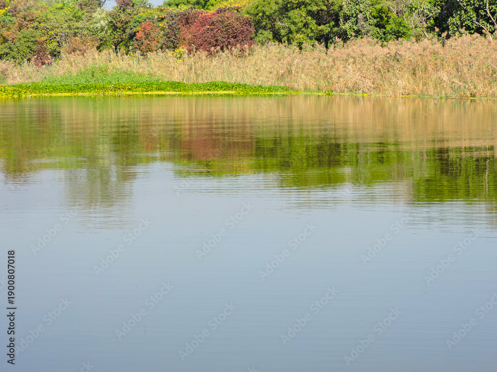 Obraz premium water, likely a pond, lake, or river, with a natural shoreline
