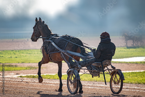 trotteur et sulky à l'entrainement