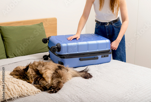 Wallpaper Mural packing and closing suitcase at home, preparing for vacation. cat stays on bed. Indoor travel Torontodigital.ca