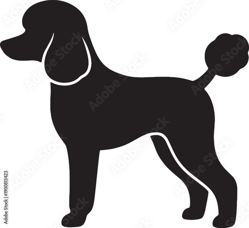 Elegant poodle silhouette standing in profile on white background showing standard clip and curly tail perfect for pet grooming service branding dog show promotion or veterinary clinic logo design