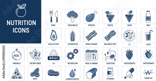 Nutrition and diet planning icon set with healthy food groups metabolism vitamins and macronutrient symbols for wellness and healthcare design vector.