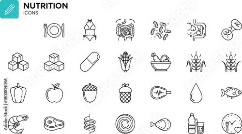 Nutrition and digestive health icon set with healthy food groups probiotics vitamins and digestive system symbols for wellness and medical design vector.
