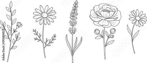 Summer beach vacation icons set with sun tropical sea travel elements holiday flat vector illustration collection isolated on white background cad drawing