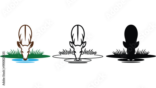 An illustration of a deer drinking water in different artistic styles