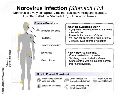 Norovirus Infection (Stomach Flu) Flashcard