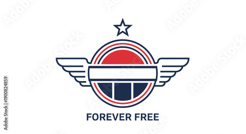 Retro Aviation Emblem with Wings and Star in Vintage Style
