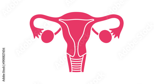 Illustration of female reproductive system anatomy viewed from front showcasing uterus, ovaries, and fallopian tubes in a simple graphic representation on a white background