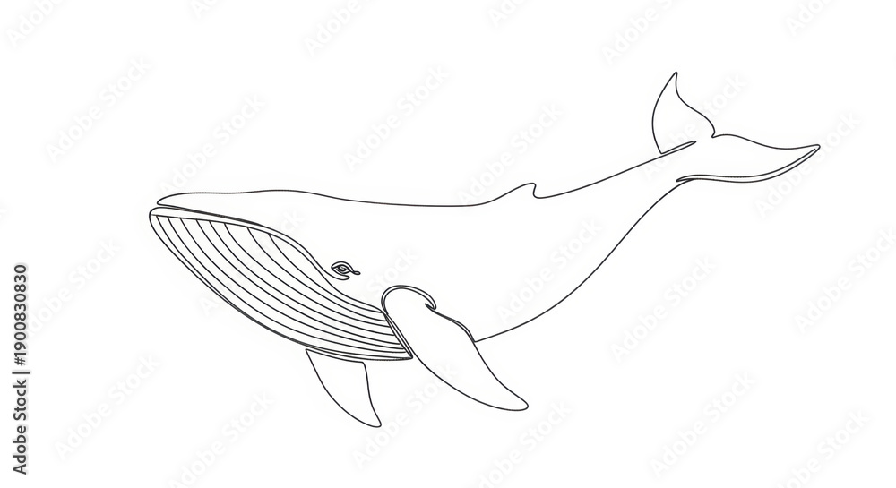 Obraz premium Minimalist Line Art Blue Whale Illustration, Ocean Mammal Drawing