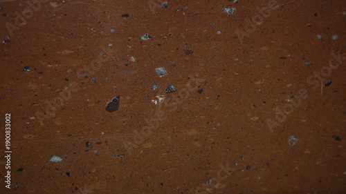 water drops on the ground