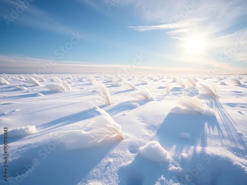 Snowy field with windblown drifts and subtle sunlight,  sunlight,  outdoor