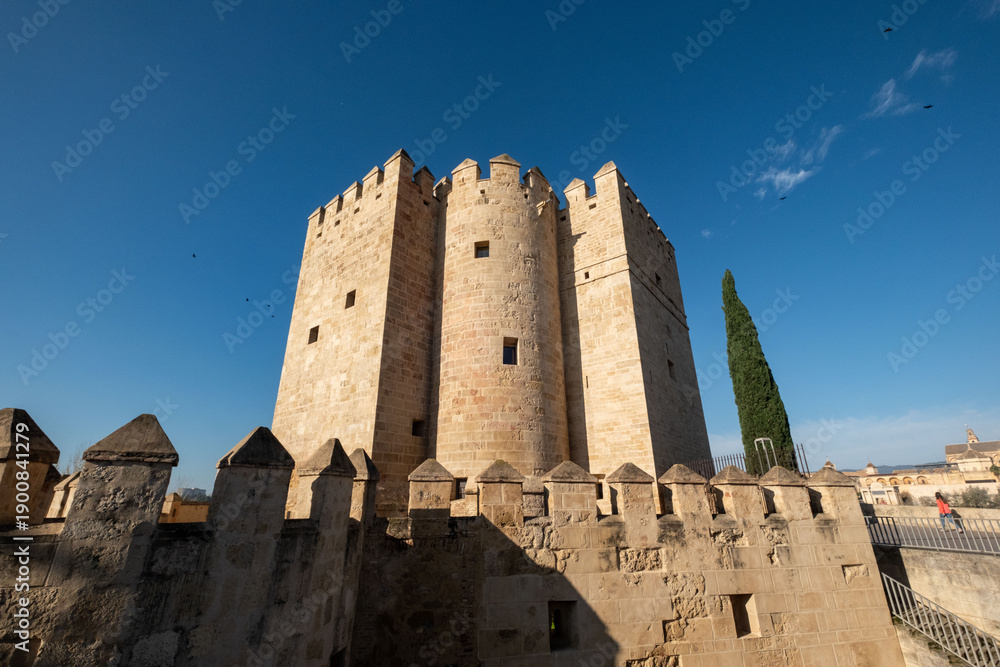 Naklejka premium Cordoba old town in Spain