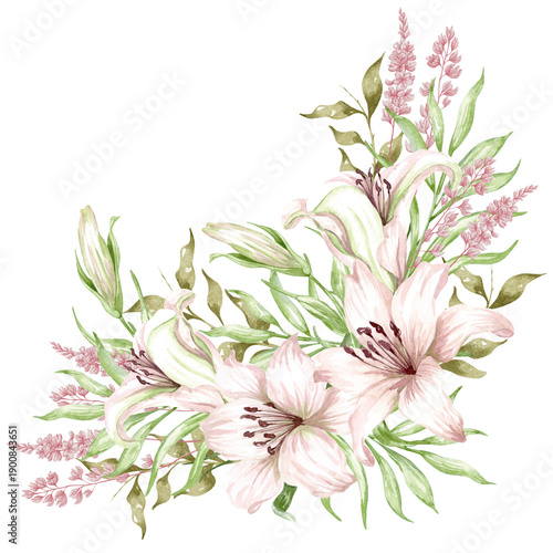 Lilies, set pink flowers on an isolated white background, watercolour illustration, set