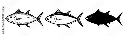 Hand drawn tuna fish vector set with three styles black silhouette outline and detailed ink sketch isolated on white background for seafood restaurant menu logo and packaging design