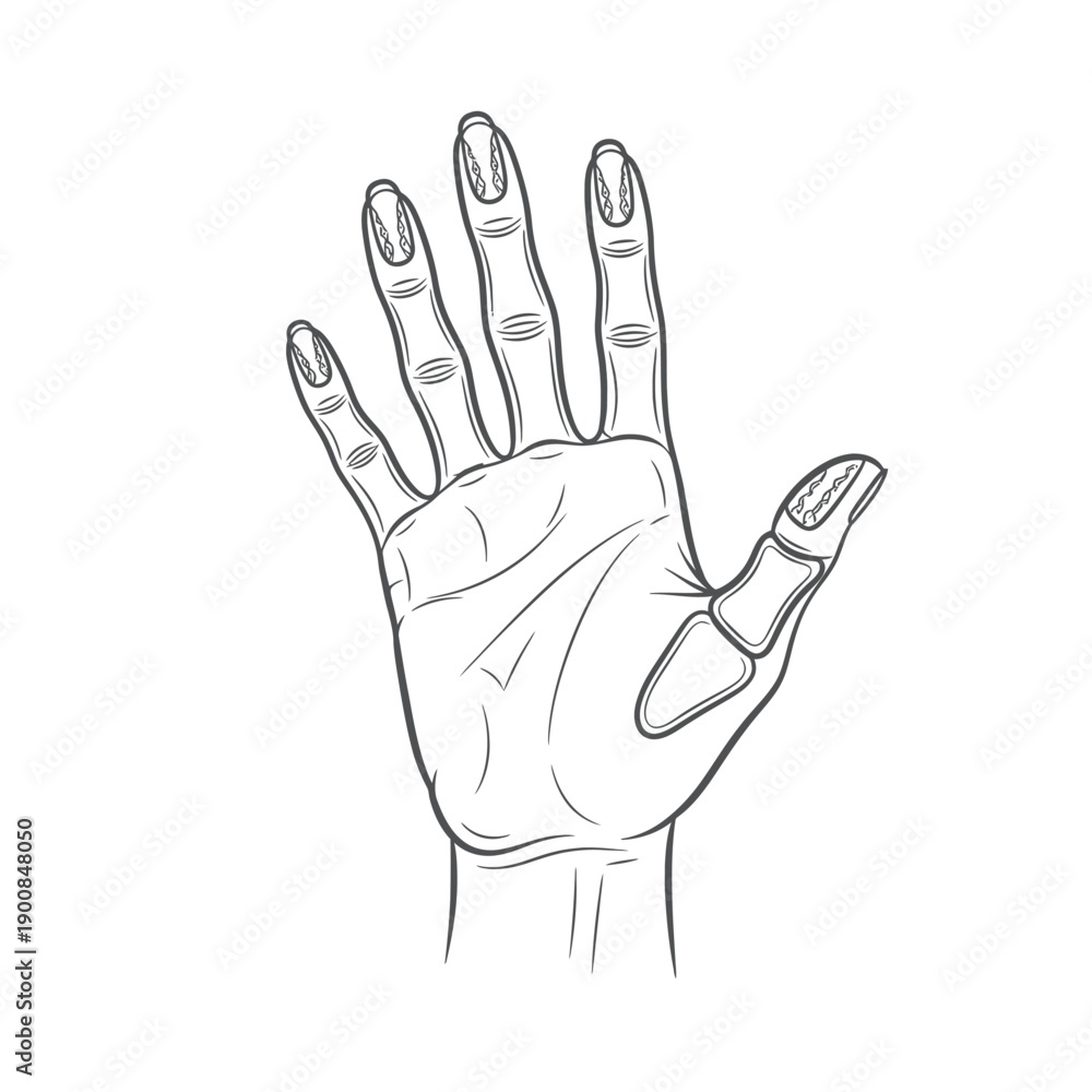 Obraz premium Anatomical Illustration of a Human Hand with Visible Bones