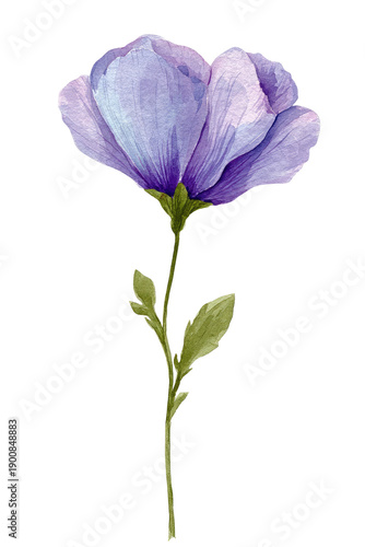A delicate watercolor rendering of a single, vibrant purple flower with a green stem