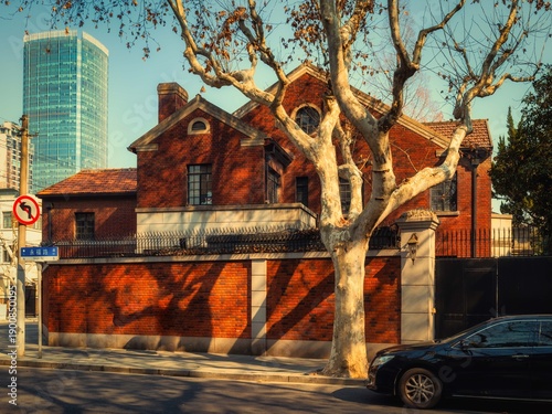 Photography Shanghai Hengfu Historic District: Winter Sycamore Street View