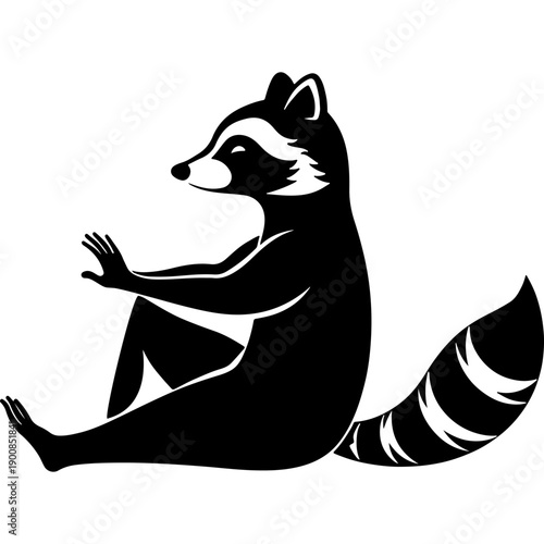 Raccoon performs exercises to strengthen its joints. Engraving minimalistic vector in black ink drawing on transparent background