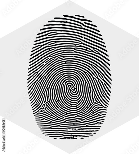 Fingerprint pattern with spiral and radial ridges