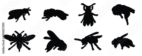 hornets sticker vector