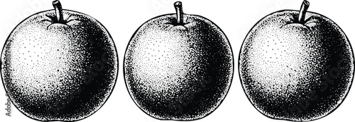 Three identical apples with stems and leaves in a row Vector