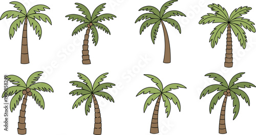 Palm tree illustration set, tropical coconut palms collection, cartoon flat greenery icons, summer beach nature vector design pack