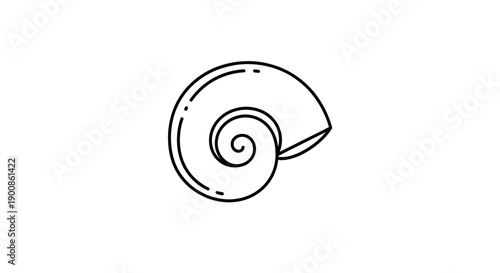 Black and white snail shell drawing.