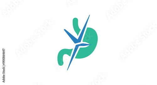 Surgical stomach anatomy medical illustration.