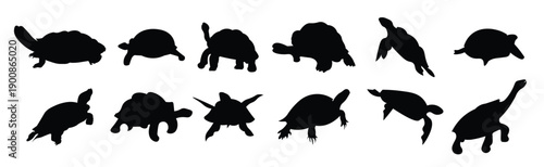 set of turtle animal silhouettes of various styles